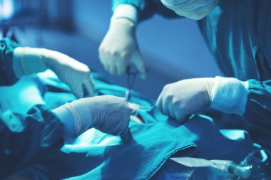 Bir ameliyathanede, bir doktor ya da tıbbi ekip cerrahi bir işlem gerçekleştiriyor..