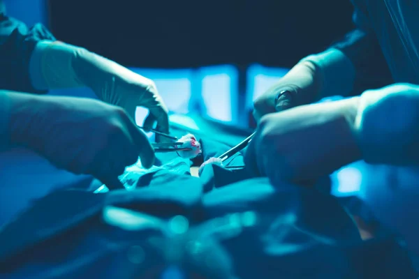 Uma Sala Cirurgia Médico Equipe Médica Está Realizando Procedimento Cirúrgico — Fotografia de Stock