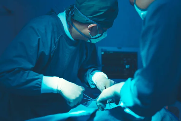 Bir Ameliyathanede Bir Doktor Tıbbi Ekip Cerrahi Bir Işlem Gerçekleştiriyor — Stok fotoğraf
