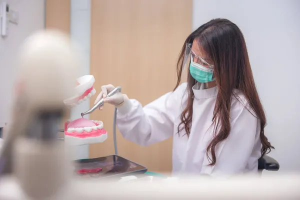 Künstlichen Kiefer Demonstriert Der Arzt Anschaulich Wie Man Die Zähne — Stockfoto