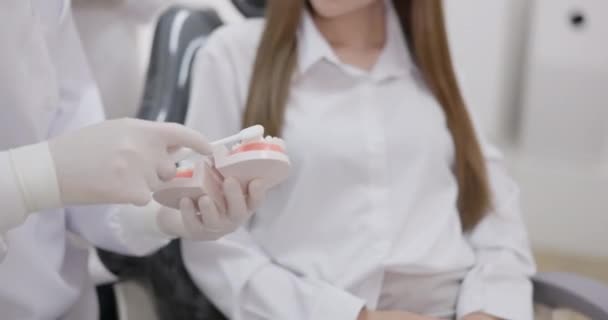 Der Zahnarzt Hält Eine Gips Nachbildung Der Zähne Den Fingern — Stockvideo