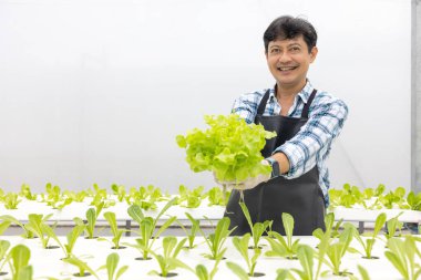 Çiftlik salatasında mutlu bir Asyalı çiftçi bahçesini sulandırıyor serada tarımsız tarım yapıyor sağlıklı gıdalar için organik.