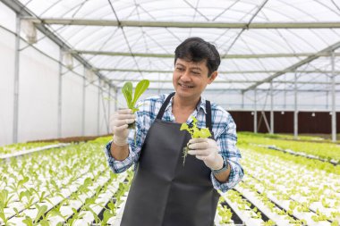 Çiftlik salatasında mutlu bir Asyalı çiftçi bahçesini sulandırıyor serada tarımsız tarım yapıyor sağlıklı gıdalar için organik.