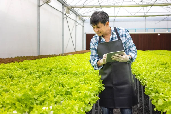 Uma Estufa Jovem Agricultor Asiático Inteligente Usa Tablet Para Monitorar — Fotografia de Stock