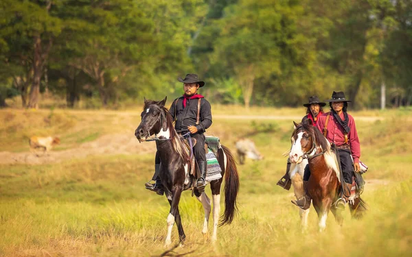 Modo Vida Cowboy Incluem Montar Cavalo Torno Locais — Fotografia de Stock