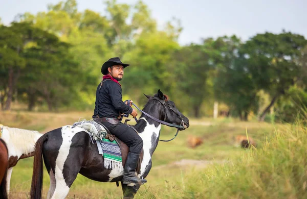 Modo Vida Del Vaquero Incluye Montar Caballo Alrededor Locales — Foto de Stock