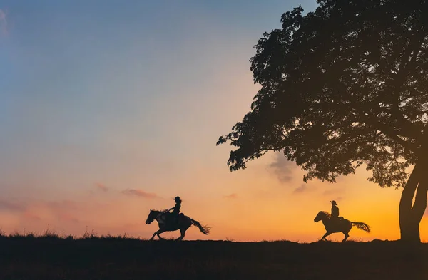 Cowboy Silhueta Cavalo Contra Uma Grande Árvore — Fotografia de Stock