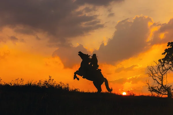 Cowboy Cavalo Surgindo Cavalo Montando Silhueta Contra Pôr Sol — Fotografia de Stock