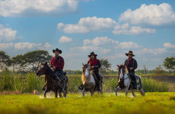 Cowboys Riding Horses River Lifestyle Natural Light Background — Foto Stock