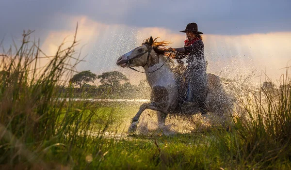 Cowboys Equitação Cavalos Lado Rio Estilo Vida Com Fundo Luz — Fotografia de Stock