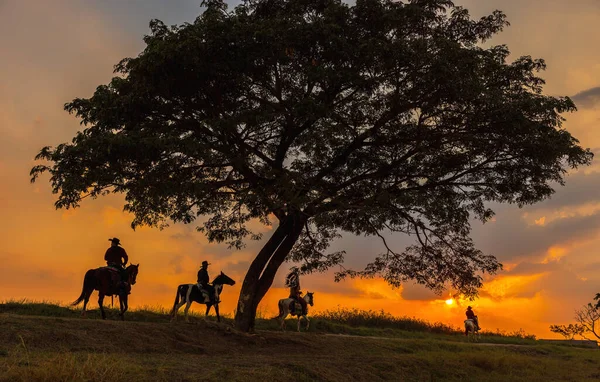 Três Homens Vestidos Vaqueiro Com Cavalos Armas Cowboy Montando Cavalo — Fotografia de Stock