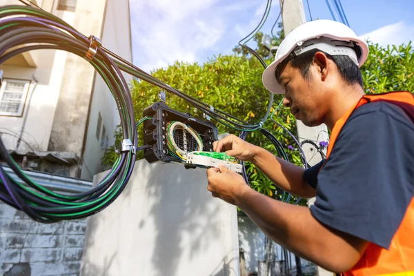 Conector Reparación Del Ingeniero Las Fibras Bandeja Divisoria Primer Plano —  Fotos de Stock