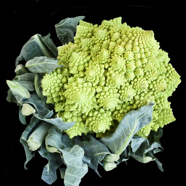 Romanesco 西兰花 — 图库照片