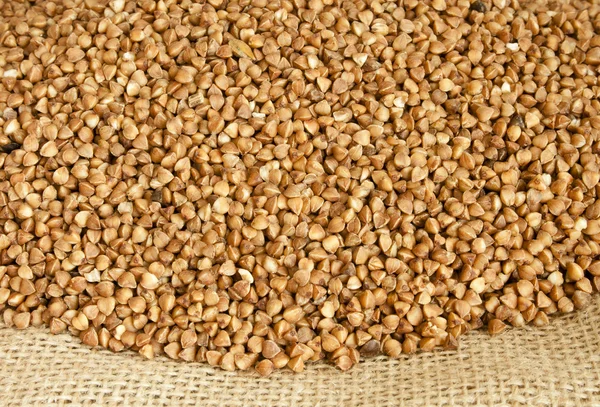 Buckwheat — Stock Photo, Image