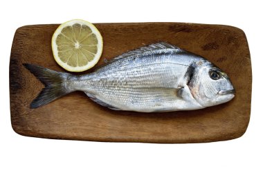 Eşkine (dorado) ahşap tahta üzerinde