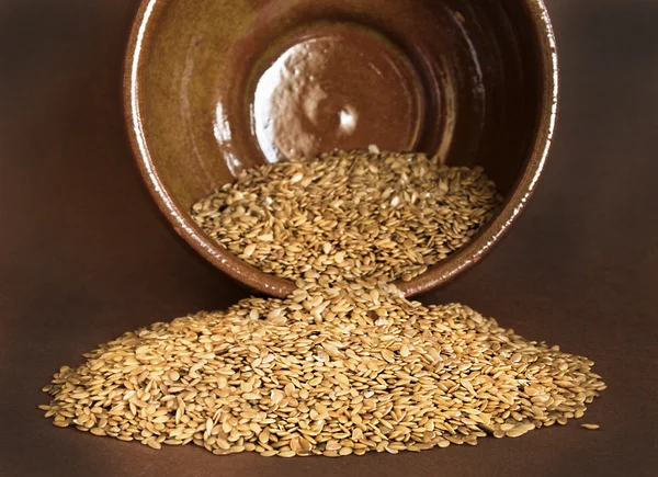 Flax seed — 스톡 사진