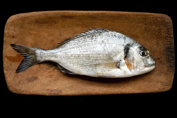 Gilthead on board — Stock Photo, Image