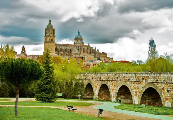 View on Cathedral — Stock Photo, Image