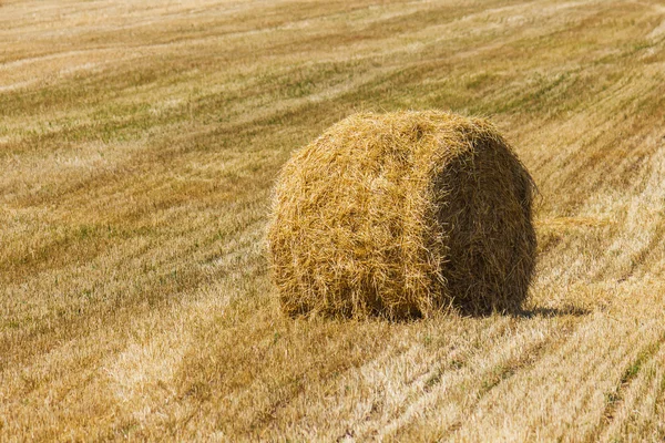 The rolls of straw in the summer — Stock Photo, Image