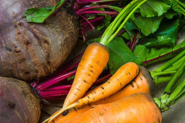 Raw carrots and beets — Stock Photo, Image