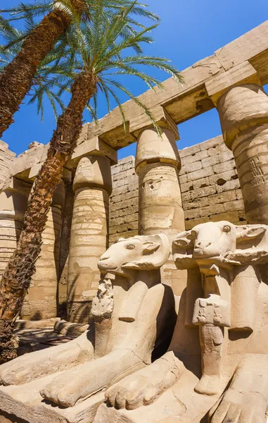 Ruínas antigas do templo Karnak no Egito — Fotografia de Stock