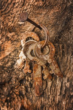 eski bir çivi unutulmuş tuşlar