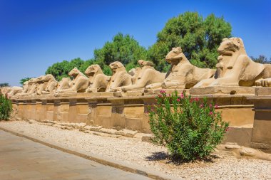 Mısır 'daki Karnak tapınağının antik kalıntıları
