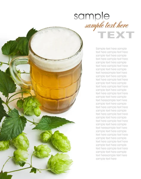 Cerveza y hop —  Fotos de Stock