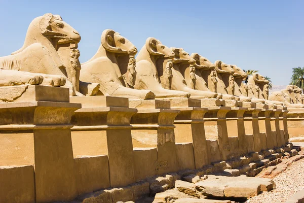 Стародавні руїни храму Карнак в Єгипті — стокове фото