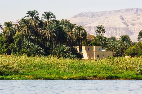 Palms and dwelling houses on the banks of the Nile — Stock Photo, Image