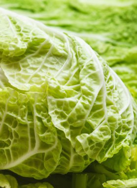 taze çiğ marul ve otlar