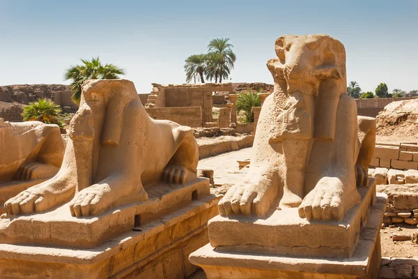 Αρχαία ερείπια του ναού Καρνάκ στην Αίγυπτο — Φωτογραφία Αρχείου