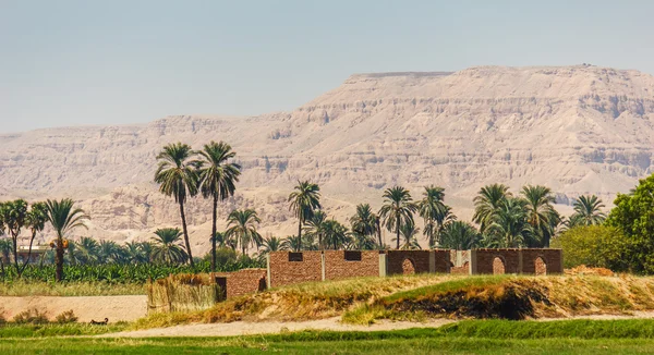 Palmiers et maisons d'habitation sur les rives du Nil — Photo