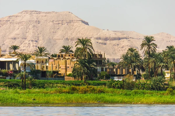 Palms and dwelling houses on the banks of the Nile — Stock Photo, Image