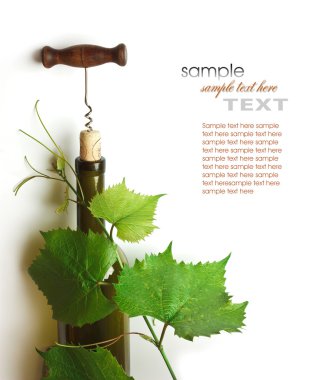 Tirbuşon ve mantar.