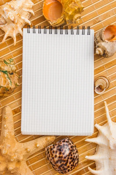 Notebook to record notes on background of seashells and starfis — Stock Photo, Image