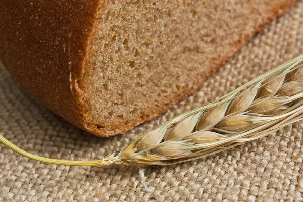 Brot und Ohren — Stockfoto