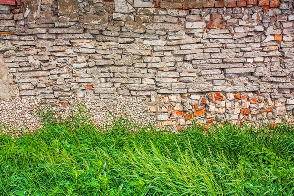 Trawa na tle kamiennego muru — Zdjęcie stockowe