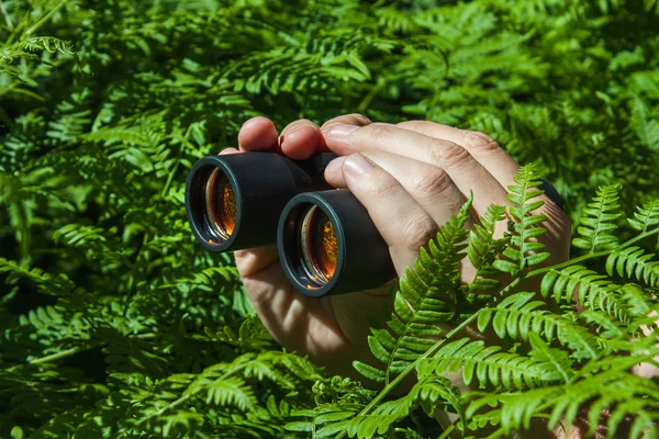 Binoculars in hand from the bushes — Stock Photo, Image