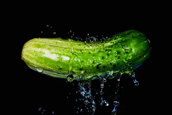 Cucumber in the stream of pure cold water — Stock Photo, Image