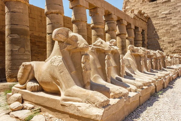 Ruínas antigas do templo Karnak no Egito — Fotografia de Stock