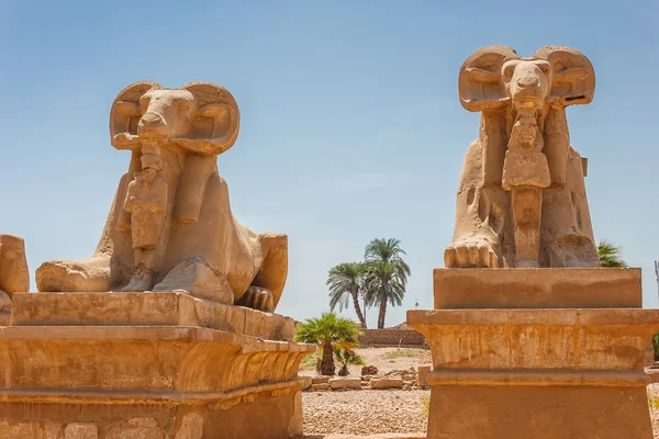 Antike Ruinen des Karnak-Tempels in Ägypten — Stockfoto