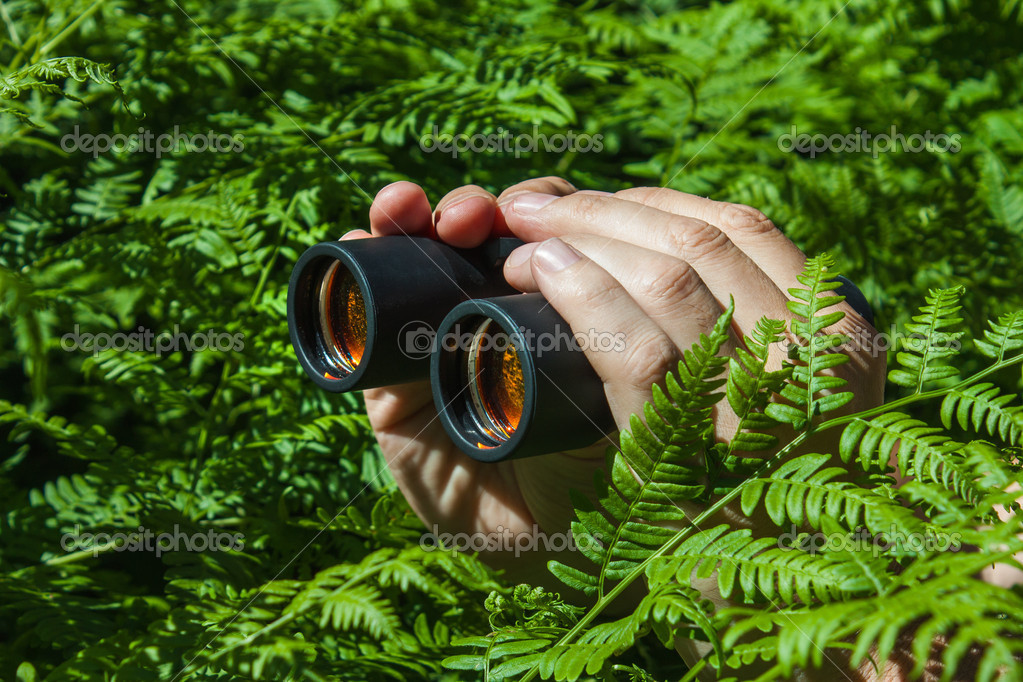 Binoculars in hand from the bushes Stock Photo by ©alan64 15827619