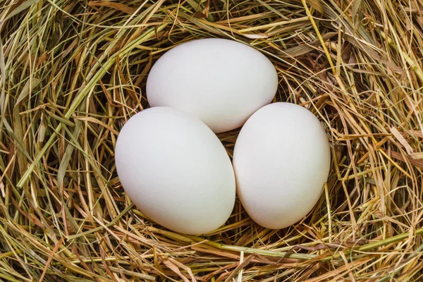 Paskalya yumurtaları ile iç içe geçirme — Stok fotoğraf