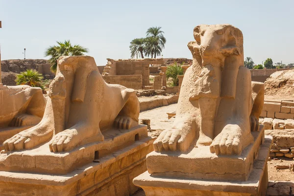 Antiguas ruinas del templo de Karnak en Egipto —  Fotos de Stock