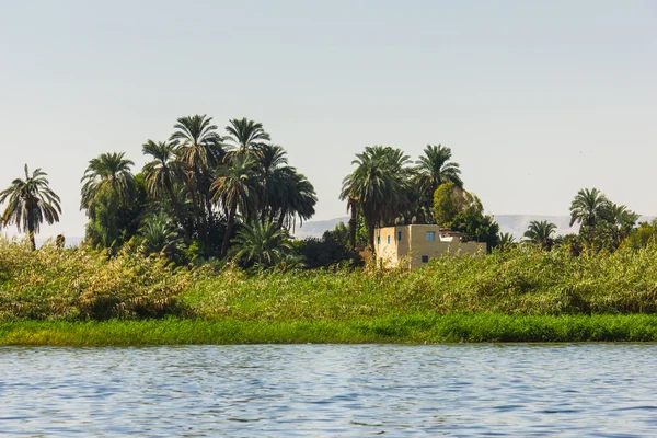 Palmen und Wohnhäuser am Ufer des Nils — Stockfoto