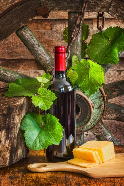En flaska vin på bakgrund av vinstockar — Stockfoto
