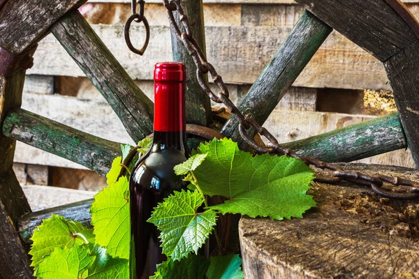 Una bottiglia di vino sullo sfondo della vite — Foto Stock
