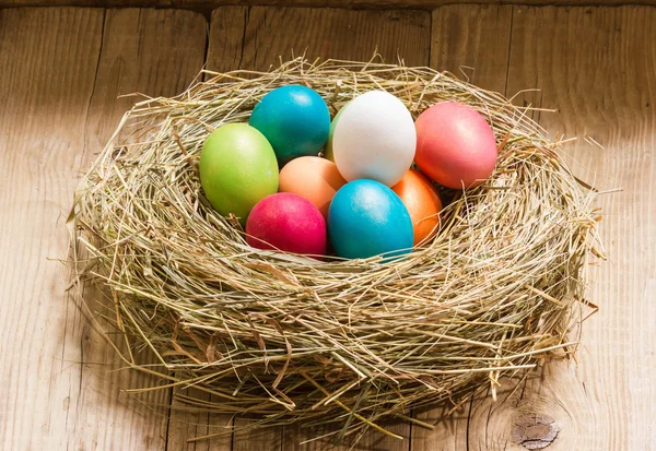 Nido con huevos de Pascua — Foto de Stock