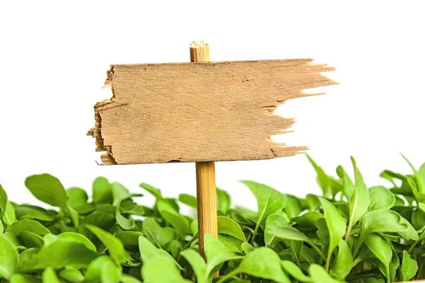 Zeiger auf die Tafel — Stockfoto